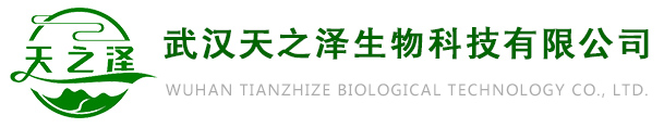 安捷利文化傳媒